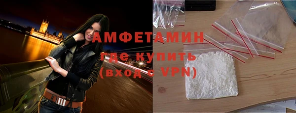 стаф Каменка