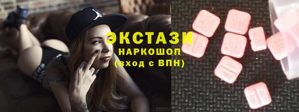стаф Каменка