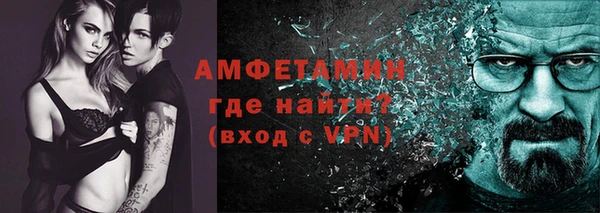 стаф Каменка
