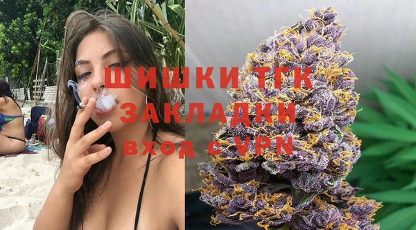 стаф Каменка