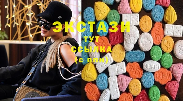 стаф Каменка