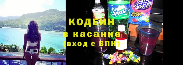 стаф Каменка