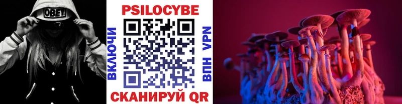 Купить  Спас-Деменск  Галлюциногенные грибы прущие грибы 